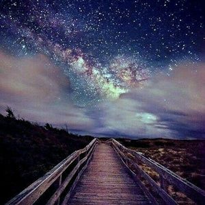 Meet your Posher, Lexi